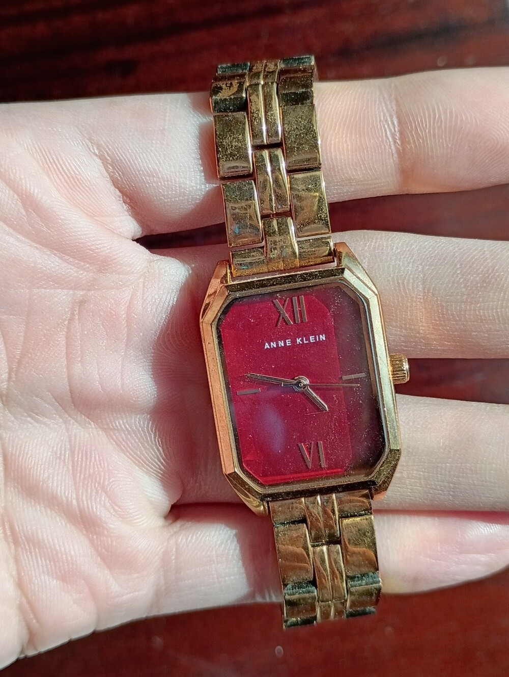 Anne Klein Watch